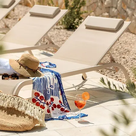 فيلة Pinaza A فربنيك